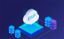 ERP软件实施及咨询