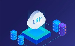 [CONSULTING] ERP软件开发及咨询
